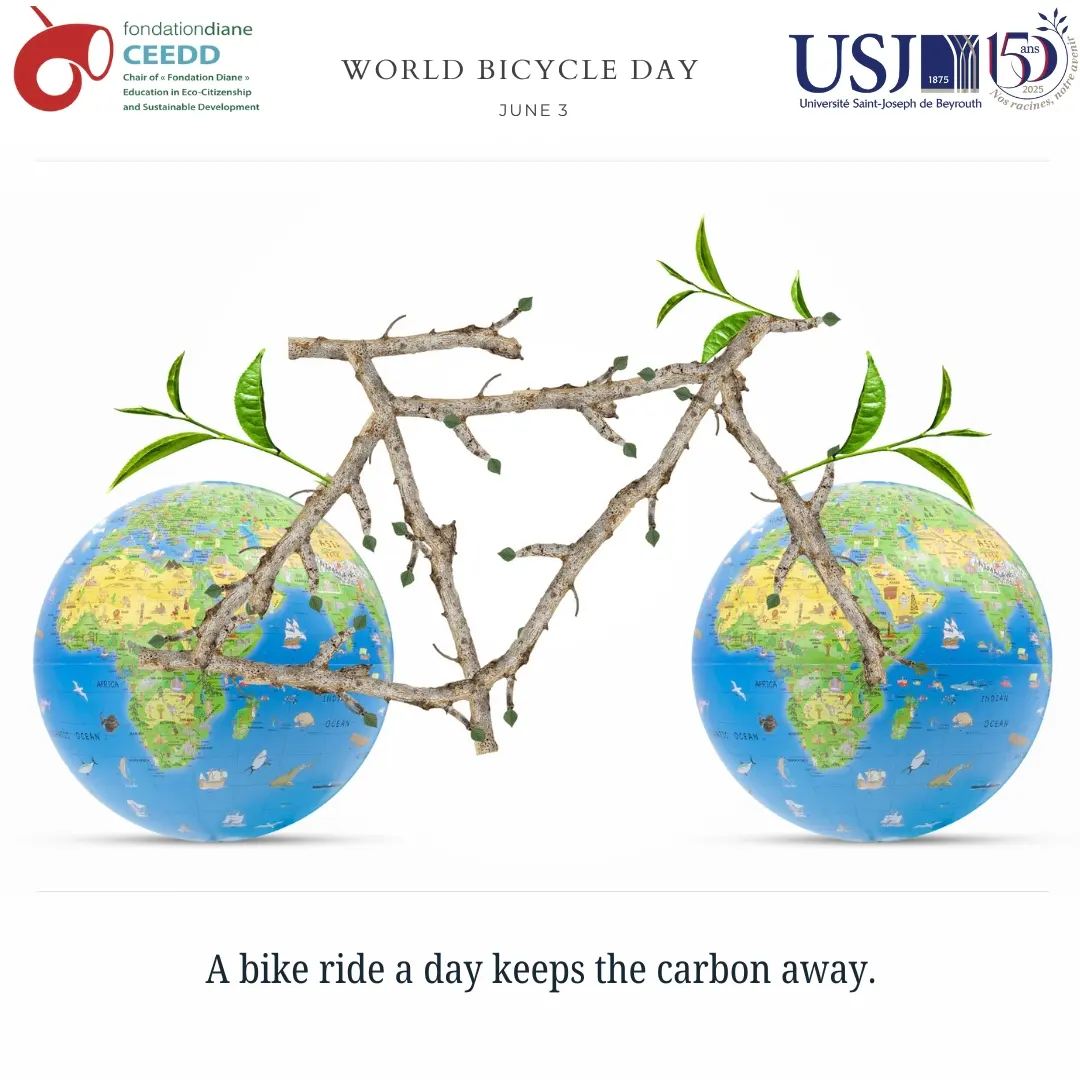 World Bicycle Day