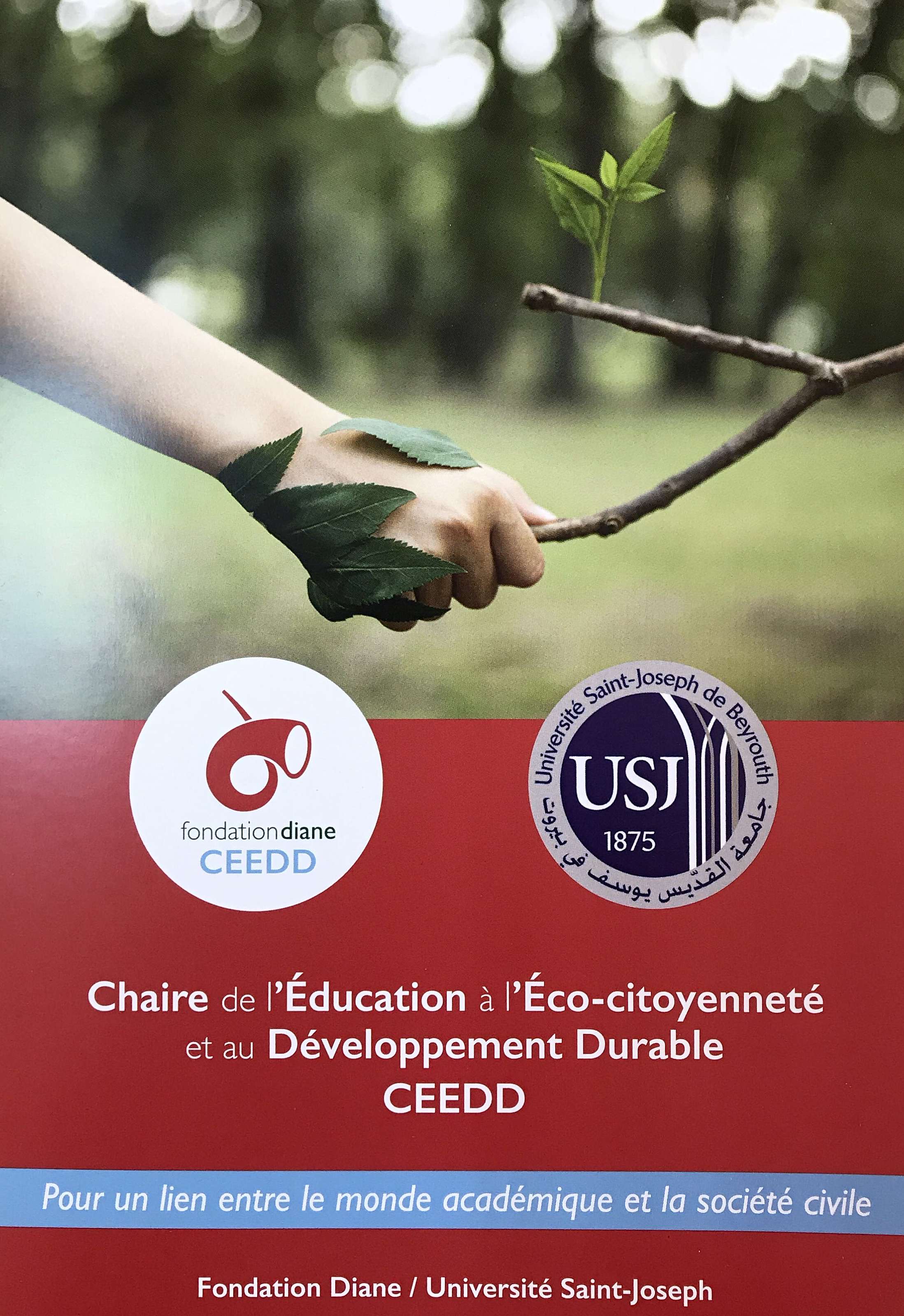 french flyer ceedd