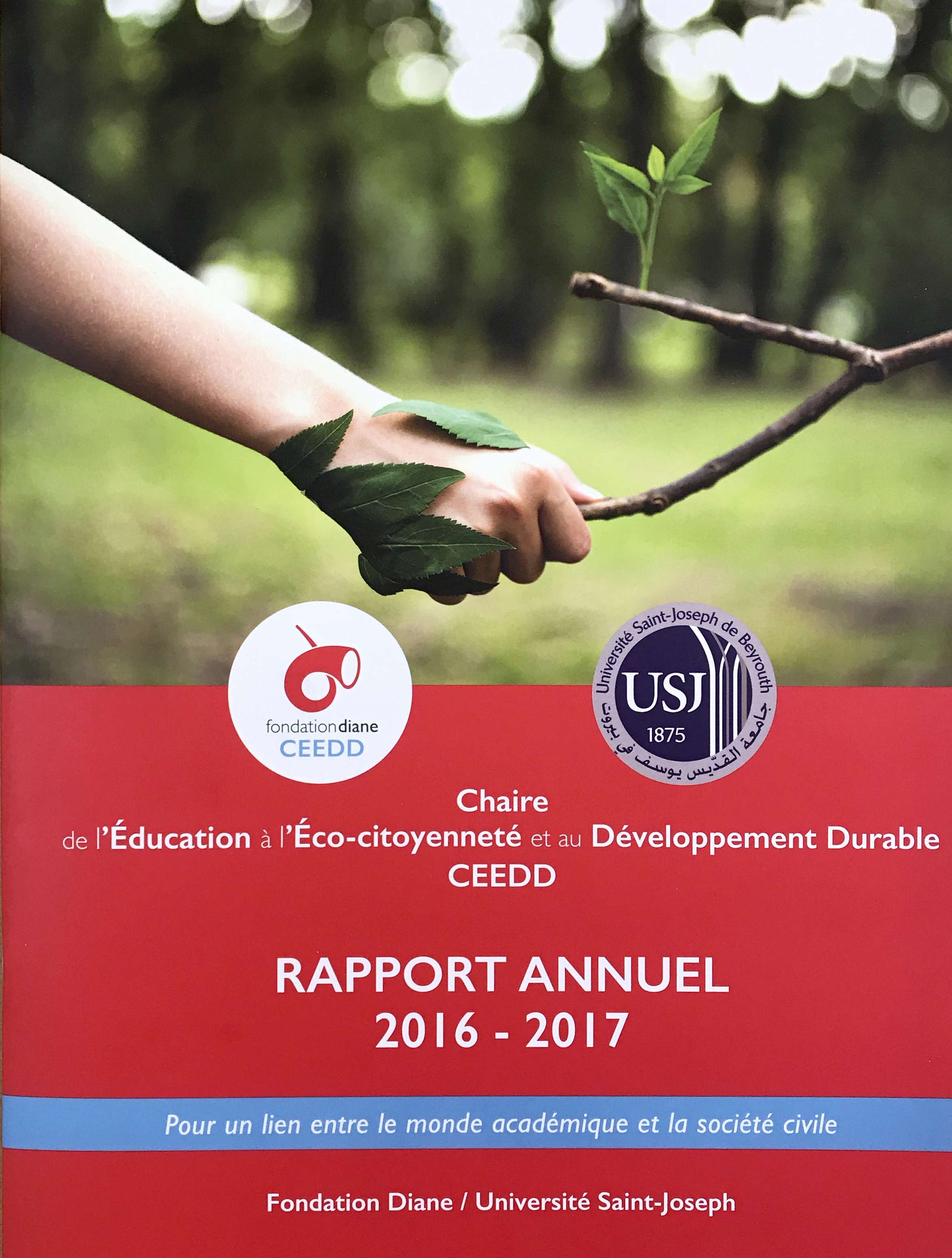 Rapport annuel ceedd 2016-2017