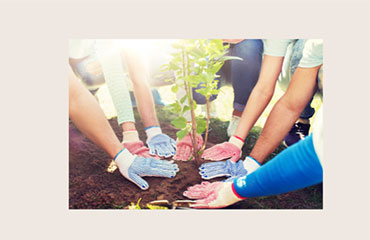 Call for Volunteering