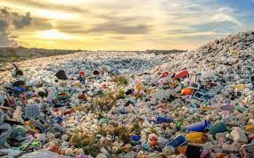 STOP ECO(sui)CIDE 