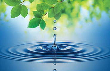 Call for applications - Doctoral Opportunity in Green Infrastructure and Urban Resilience