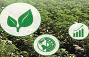 Contre révolution agronomique: opportunités pour les jeunes et les nouveaux agriculteurs au Liban?