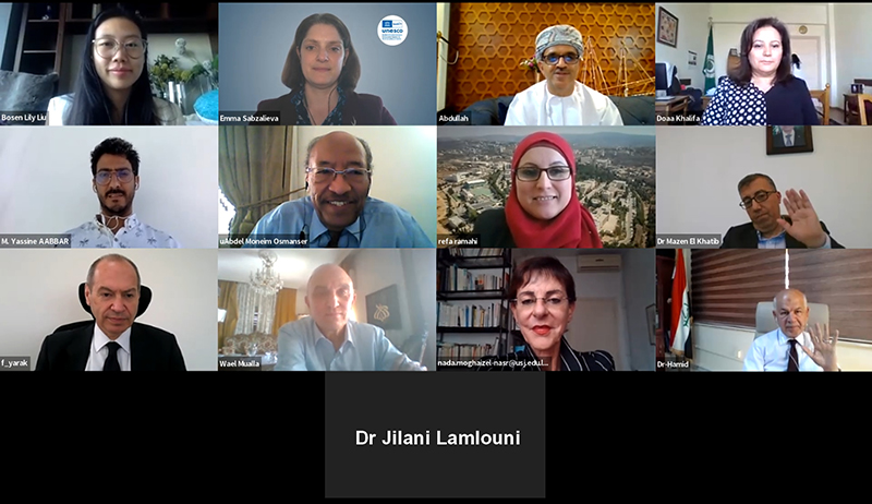 CDMPU | Projet UNESCO : Right to Higher Education Consultation - Arab States Region