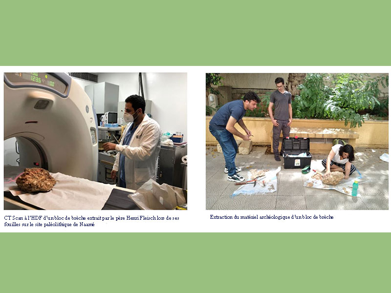 The Museum of Lebanese Prehistory Takes Part of the REVIVE Scientific Project