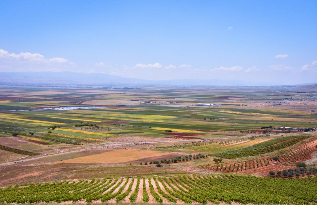Conférence « Terroirs libanais, terroirs du futur : vers la durabilité viti-oenologique avec Reservin »