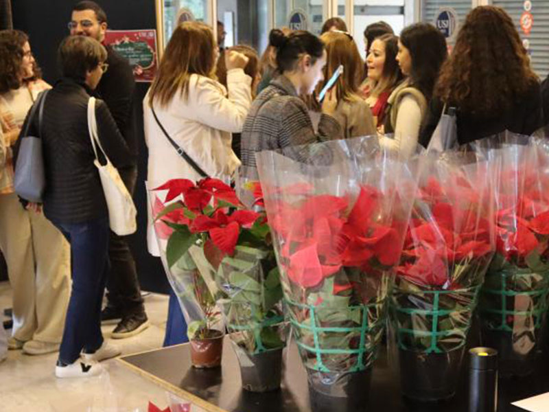 Le Marché de Noël O7