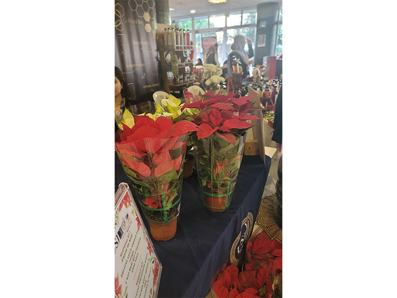 Marché de Noël O7 