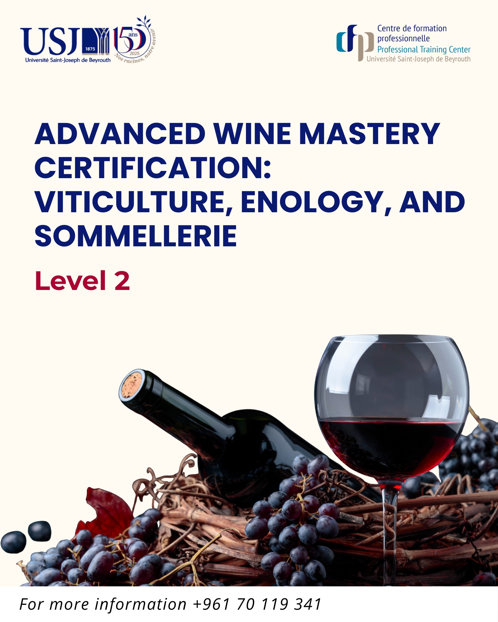 Advancing Wine Education at USJ