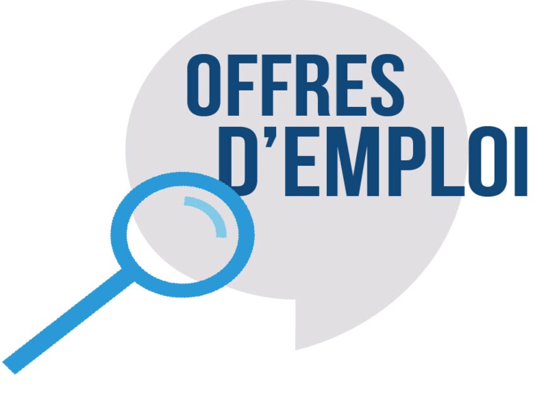 Offres d'emploi - Job offers - فرص العمل 