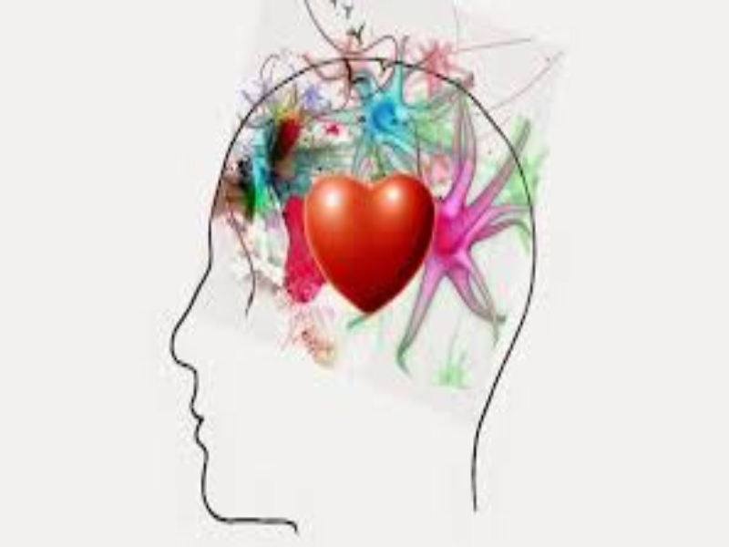 Entre le cognitif et l’émotionnel... Quelle évaluation à distance en situation de crise ?