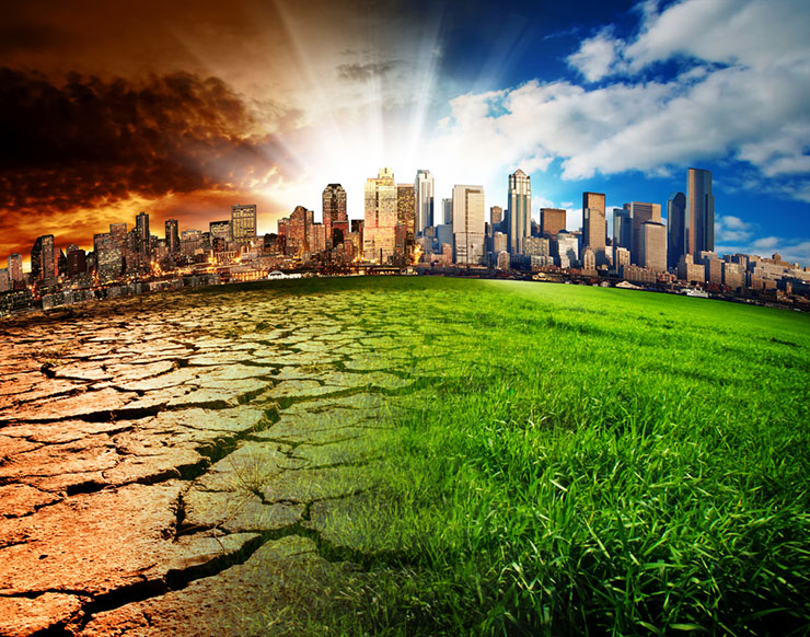 Global Environment Facility (GEF) Small Grant Program (SGP)