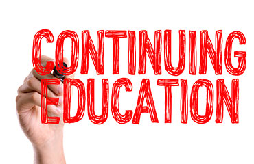 Daily translation and interpretation business: need for SEO