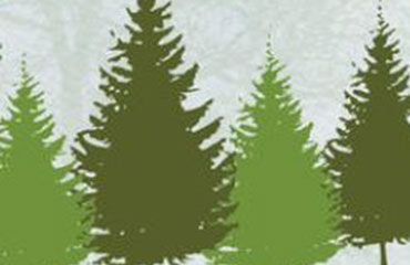 Green Dictation