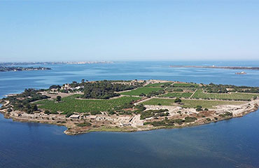 Archeology in Action : the Shape of Punic cities 