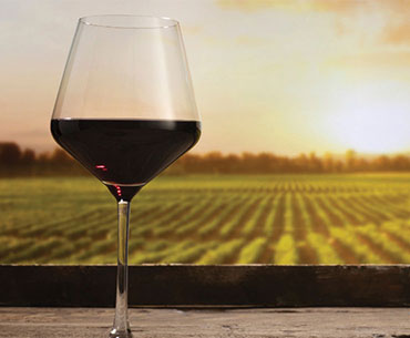 The Controversy of Wine
