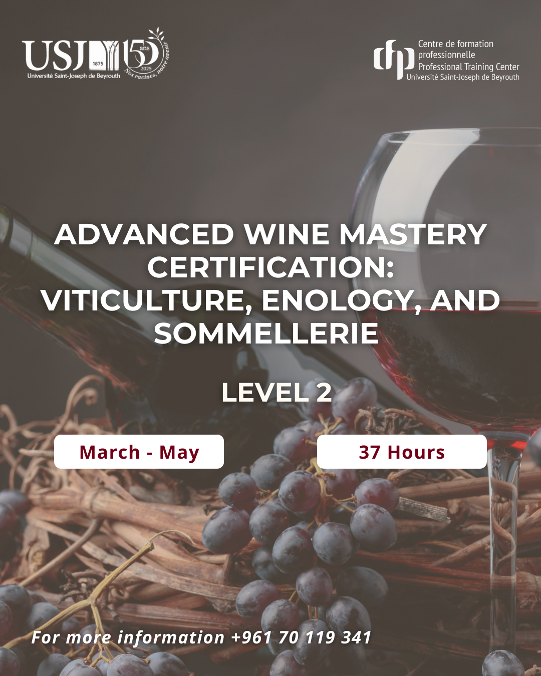 Advanced Wine Mastery Certification: Viticulture, Enology, and Sommellerie (Level 2)