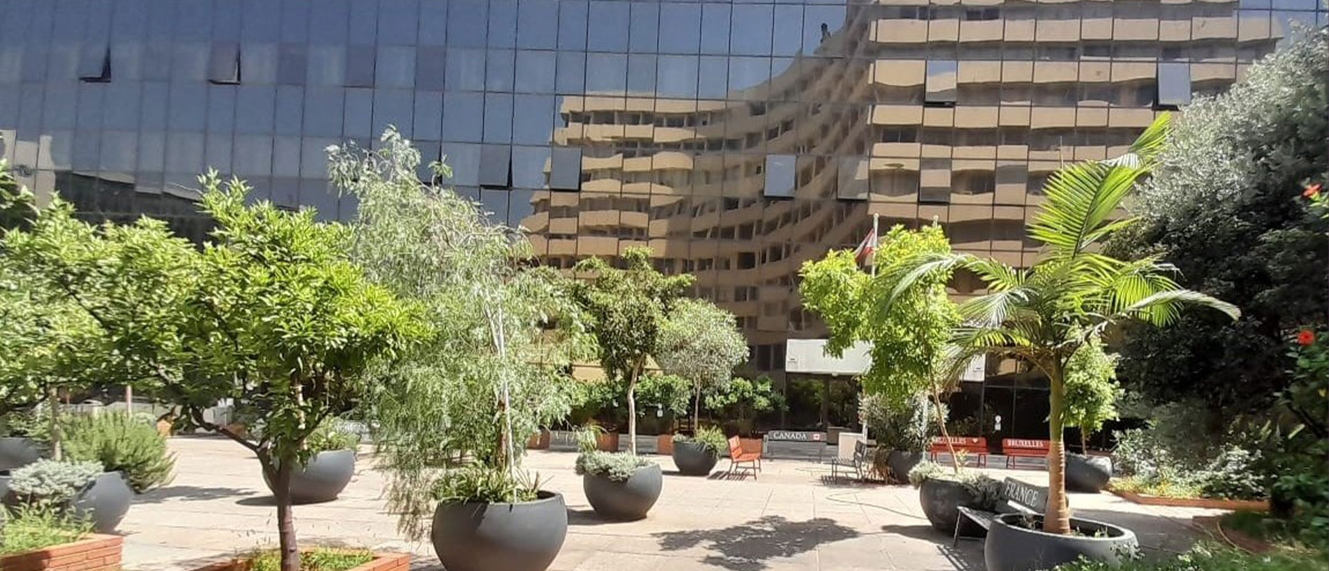 cv