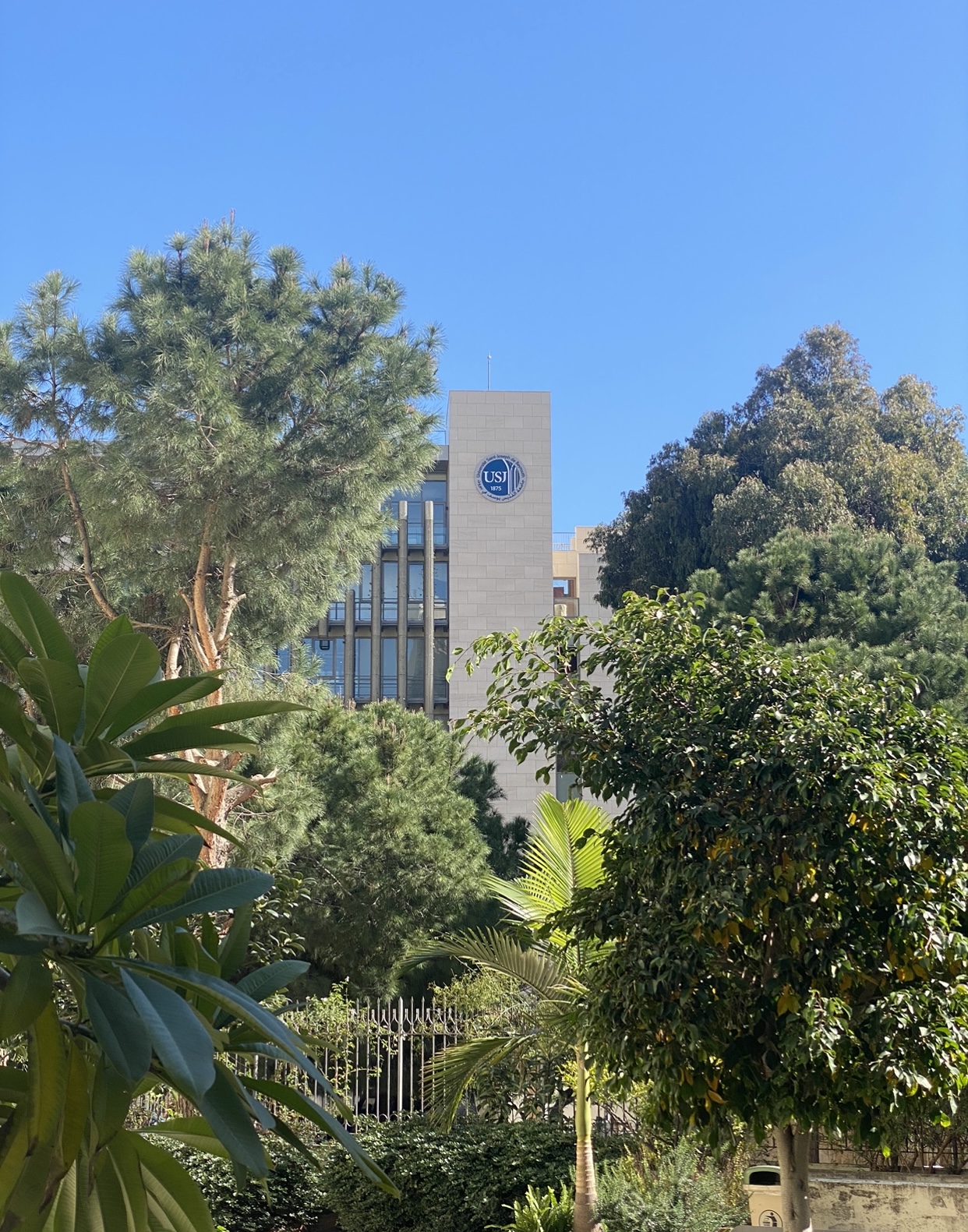 Un Joyau dExcellence  La Faculté de Médecine de lUniversité SaintJoseph de Beyrouth  Berceau des Élitistes Médicaux