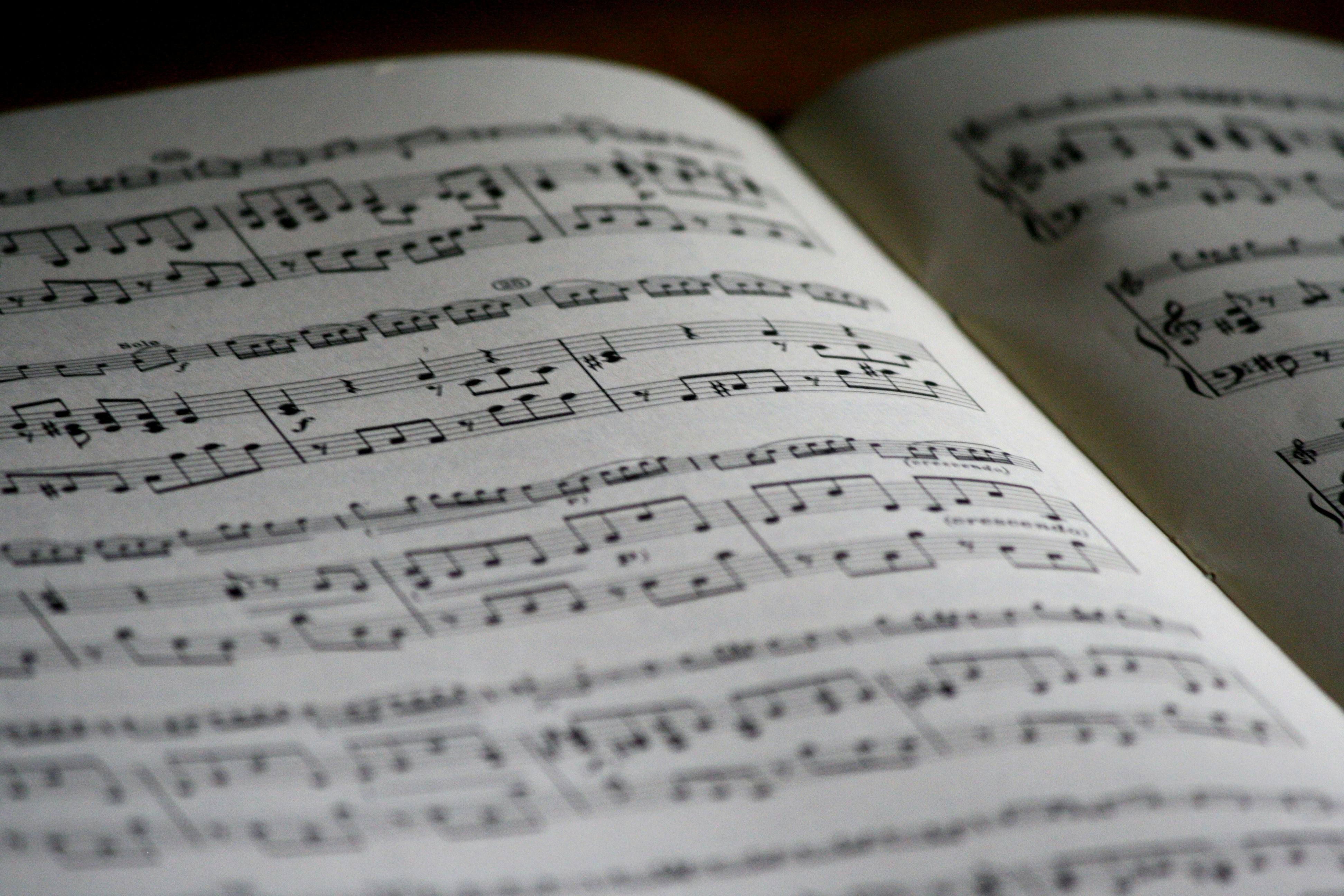MELODIES OF HOPE : THE CULTURAL POWER OF MUSIC IN A REGION IN THE ARAB WORLD
