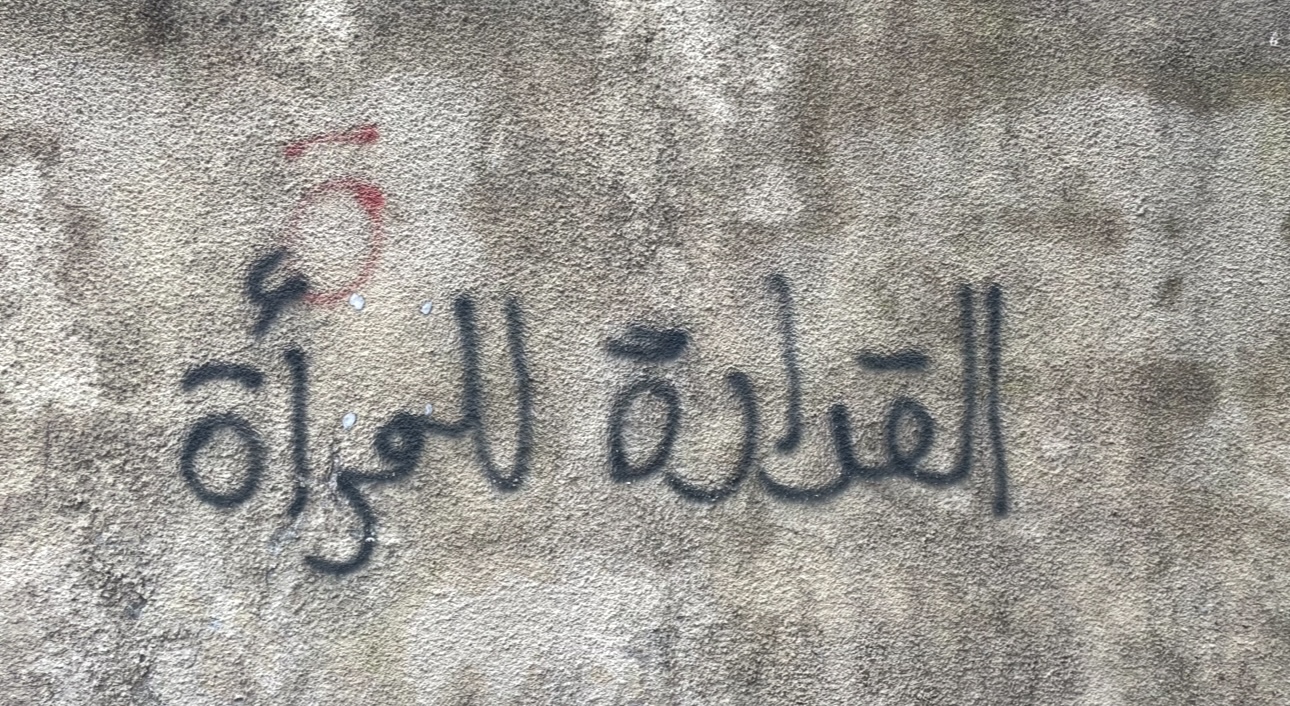  المرأة في الحياة السّياسية اللبنانية: نضال، تحديات وتقدّم