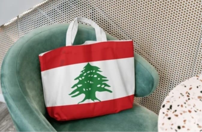 Les Libanais de la diaspora : penseurs, innovateurs et ambassadeurs du savoir