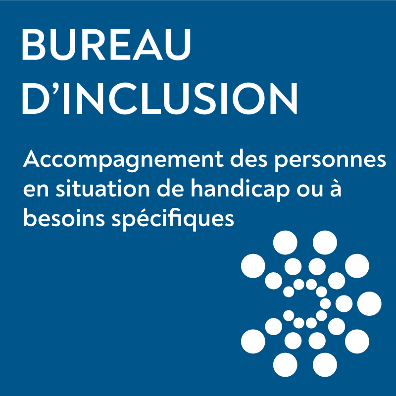 inclusion
