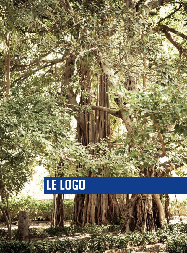 LE-LOGO-image