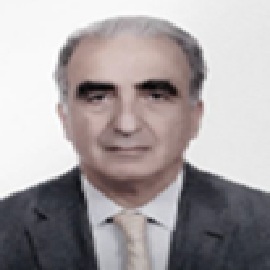 nabil bustros