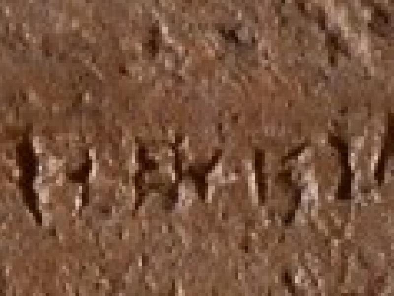 inscriptions
