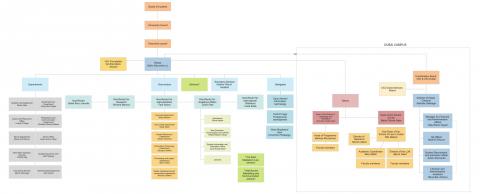 organizational chart