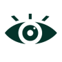 vision