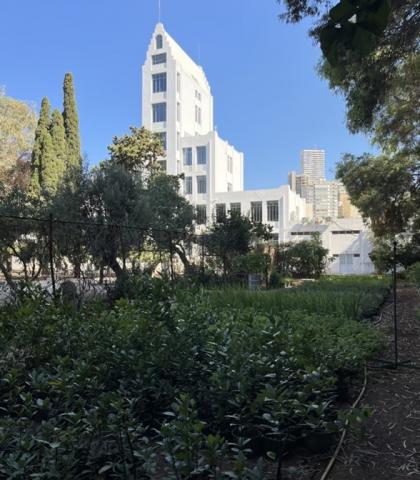 L’ancêtre libanais de Burj Khalifa ressuscite