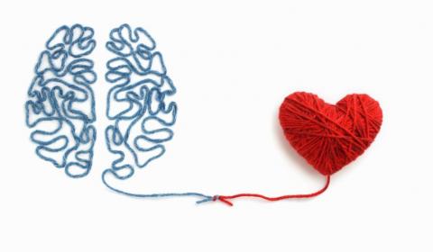 La Synergie entre la Sante Physique et Mentale Une Relation Profonde et Interdependante 