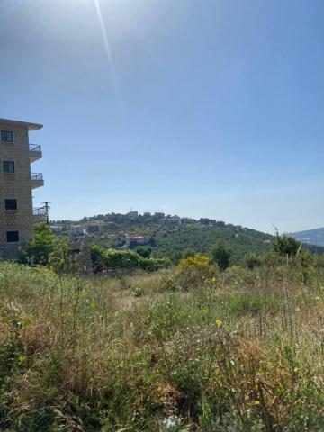 Summer in Lebanon: A Wild Ride of Sun and Mountains: